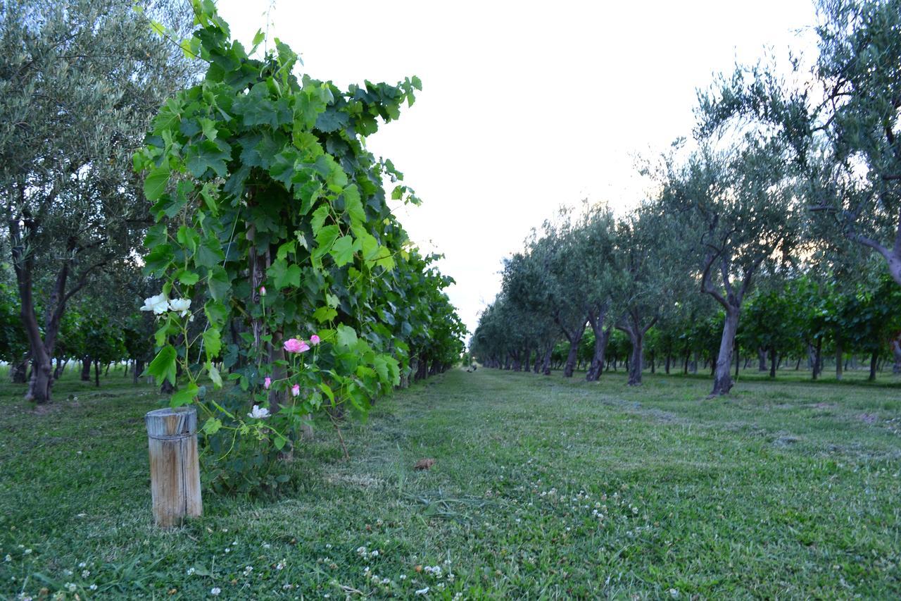 Finca Fisterra Maipú Exteriör bild