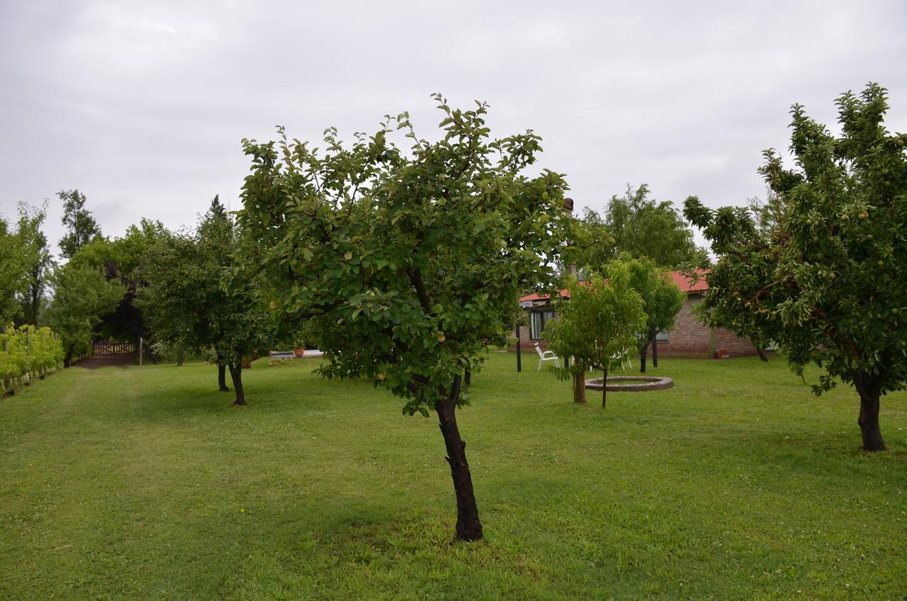 Finca Fisterra Maipú Exteriör bild