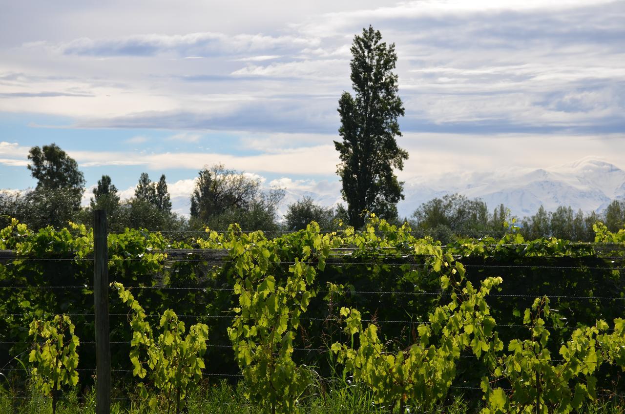 Finca Fisterra Maipú Exteriör bild