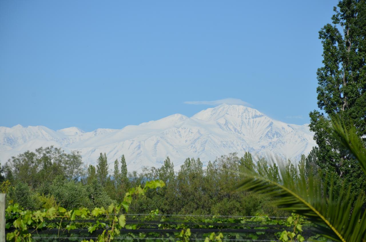 Finca Fisterra Maipú Exteriör bild