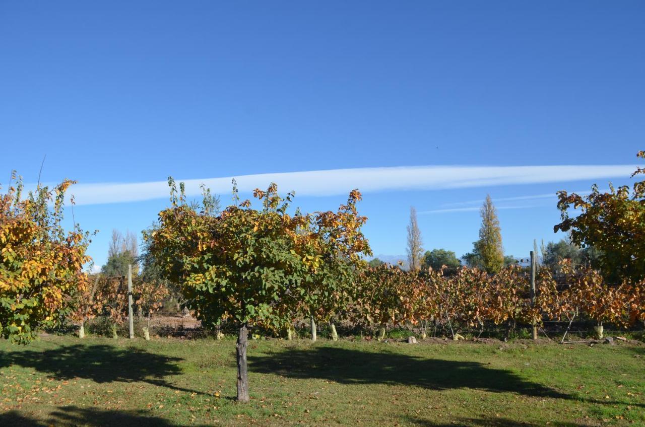 Finca Fisterra Maipú Exteriör bild