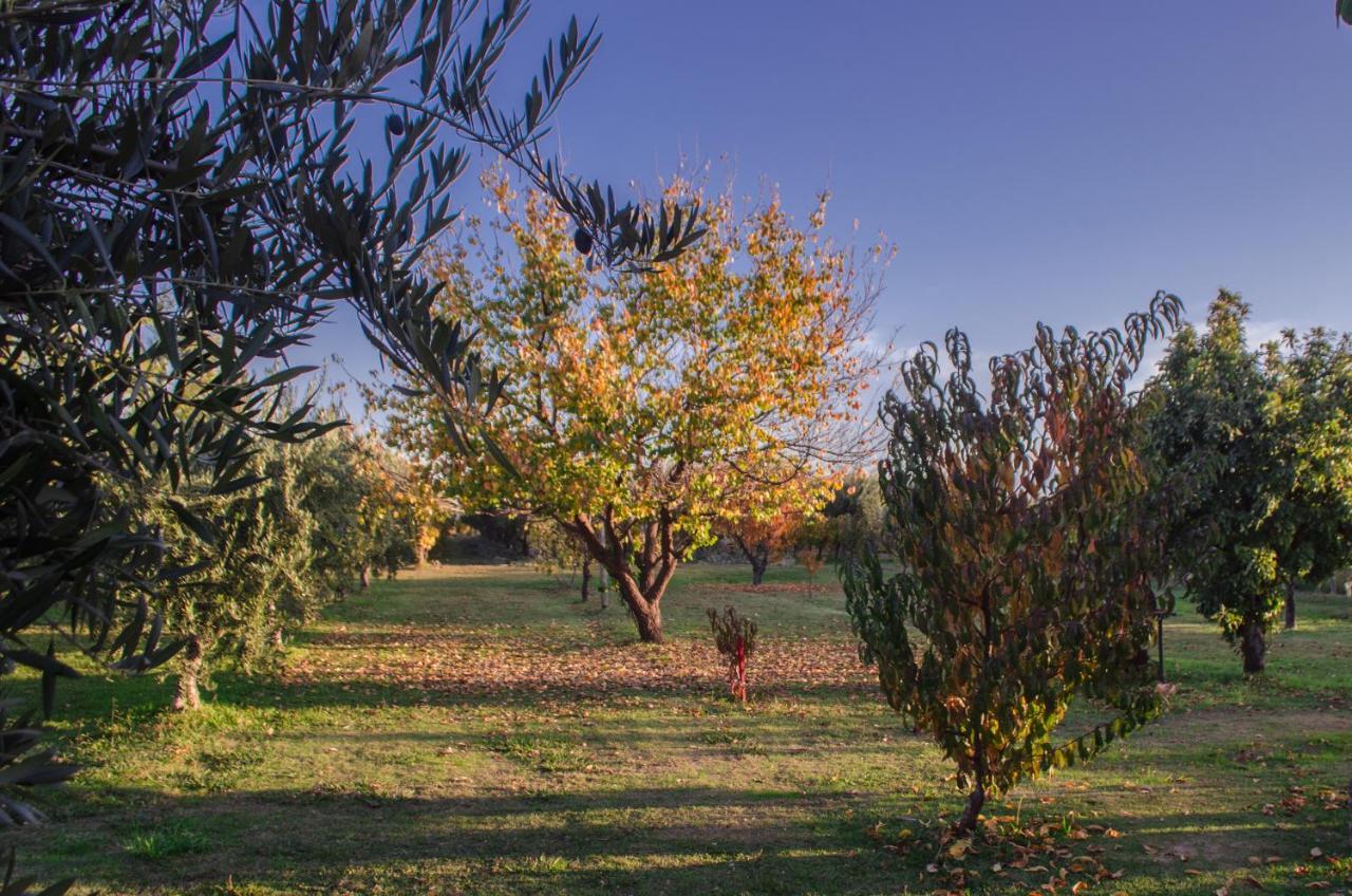 Finca Fisterra Maipú Exteriör bild