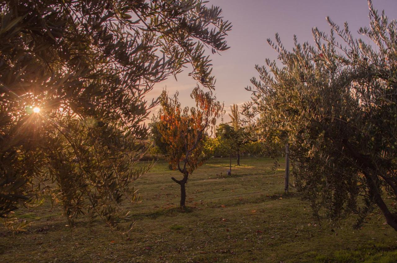 Finca Fisterra Maipú Exteriör bild