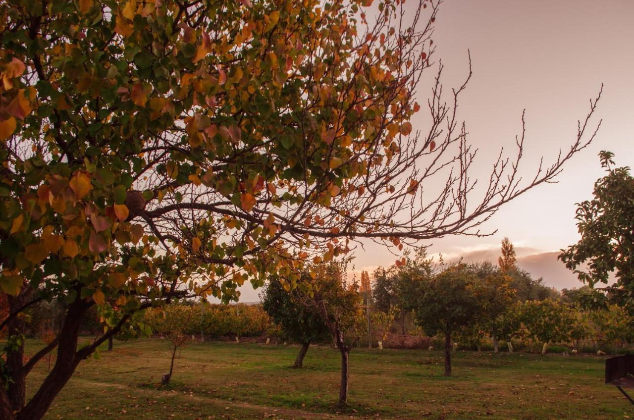 Finca Fisterra Maipú Exteriör bild